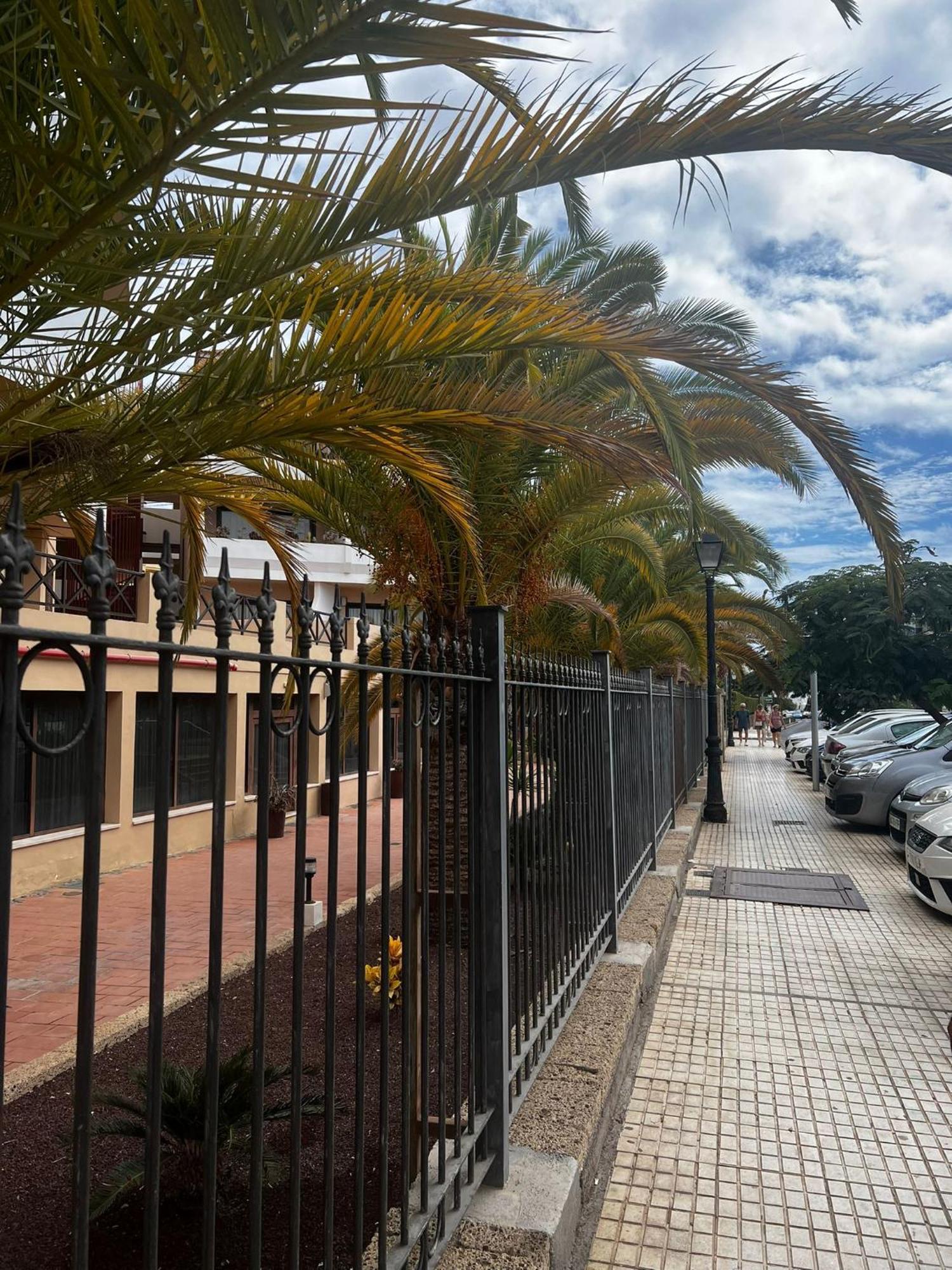 Sunny Suite San Miguel de Abona Exterior photo